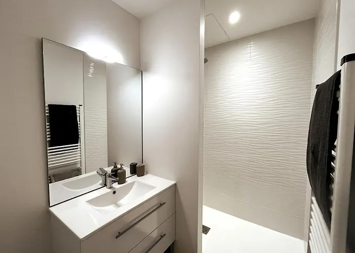 公寓 Modern Bright Flat With Outside Terrace 比亚里茨